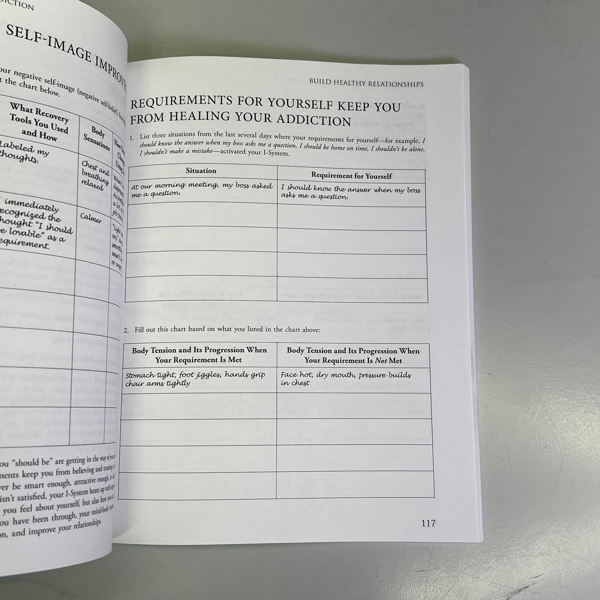 MIND-BODY WORKBOOK FOR ADDICTION Effective Tools Substance Abuse Recovery Book