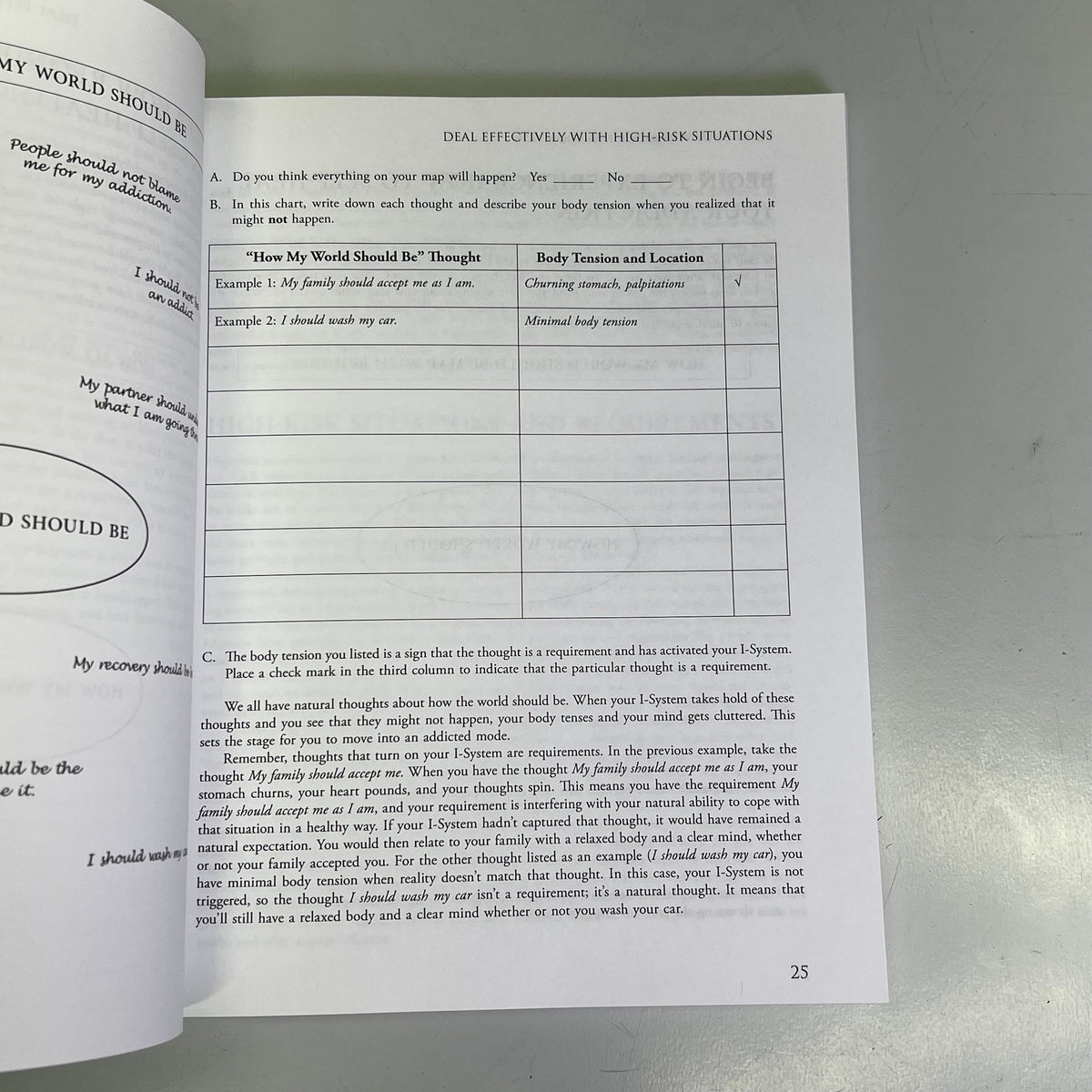 MIND-BODY WORKBOOK FOR ADDICTION Effective Tools Substance Abuse Recovery Book