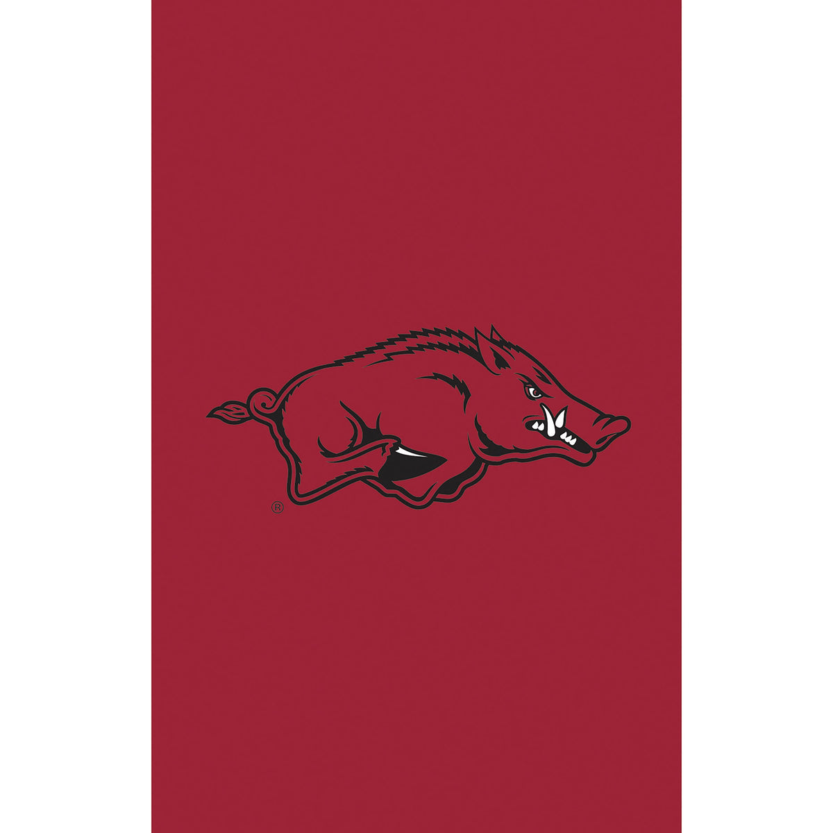 Applique Flag, Gar., University of Arkansas