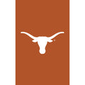 University of Texas Applique House Flag