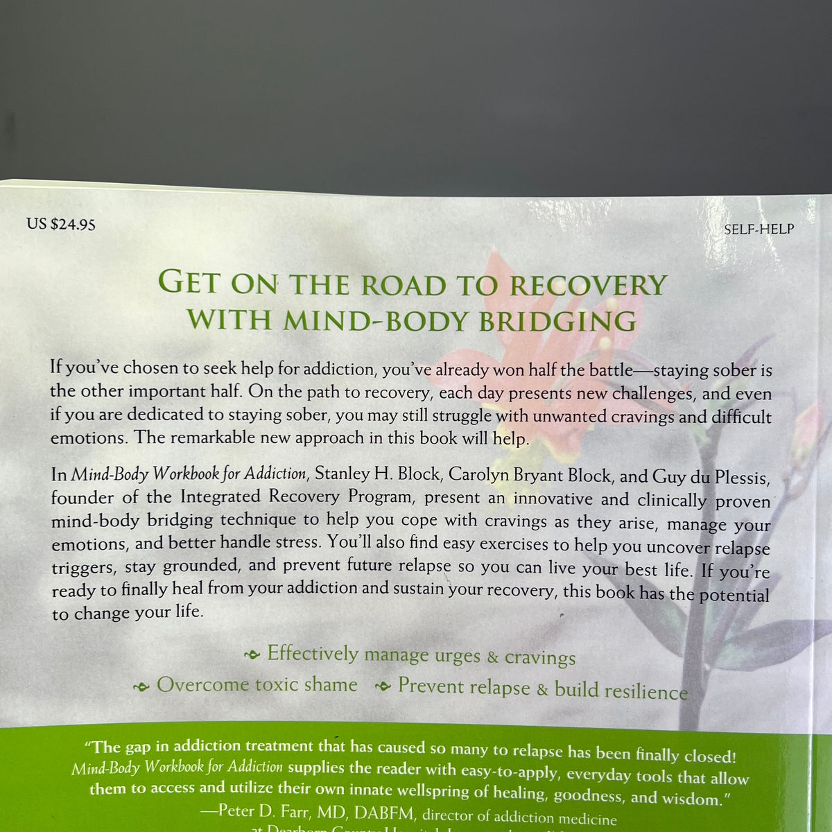 MIND-BODY WORKBOOK FOR ADDICTION Effective Tools Substance Abuse Recovery Book