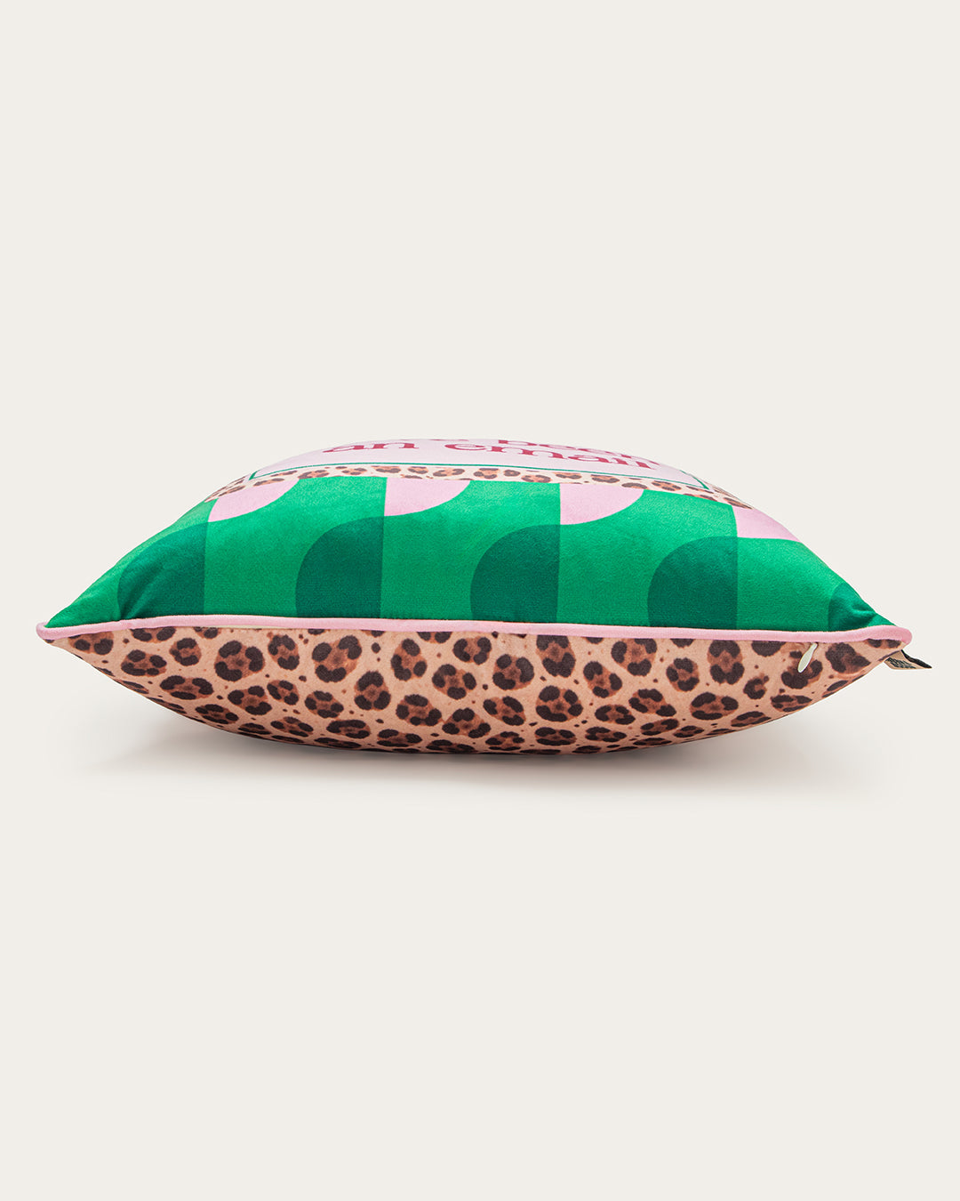 this could have been an email pillow