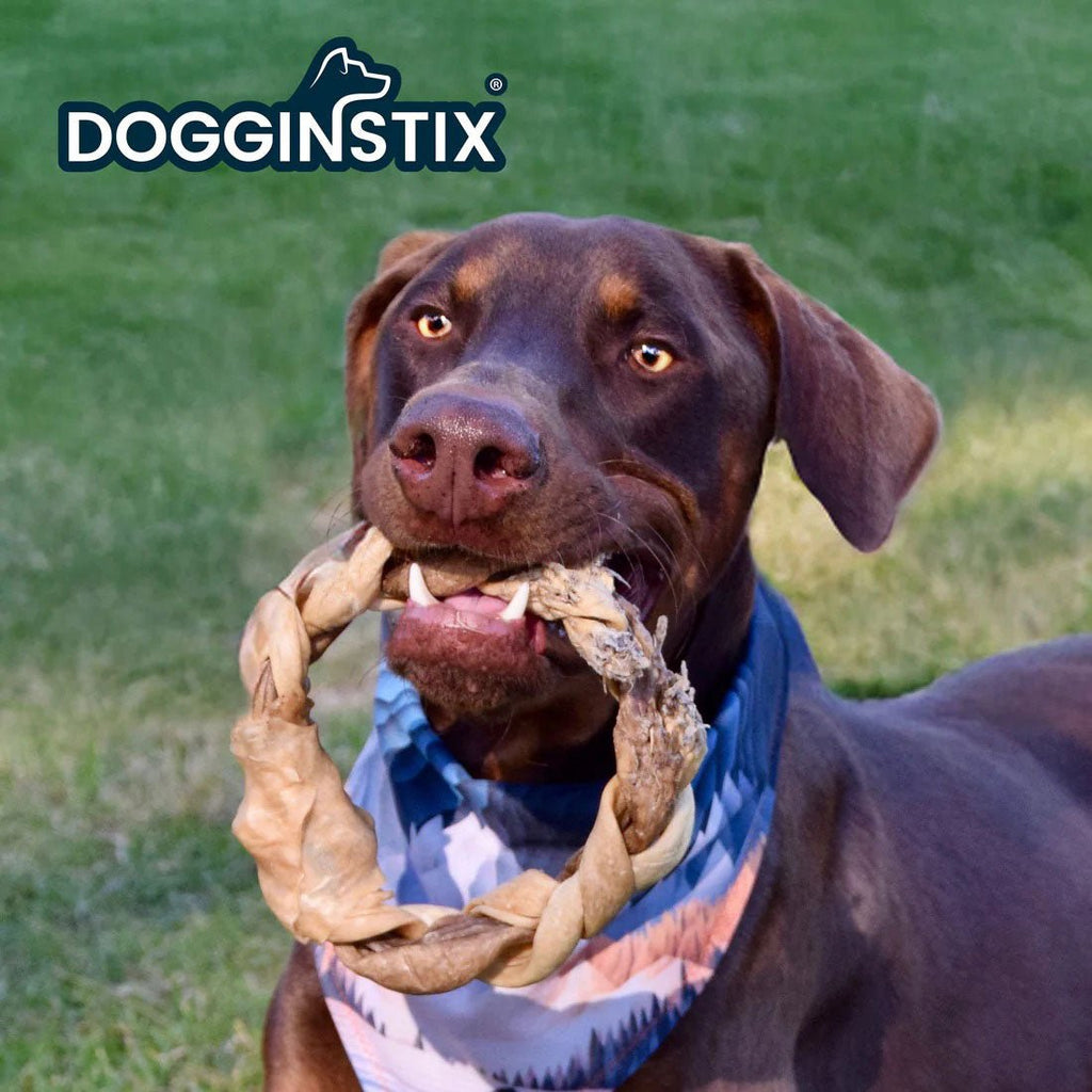 Dogginstix Braided Lamb Collagen Ring Chew Dog Treat – Natural, Grass-Fed, Low Fat