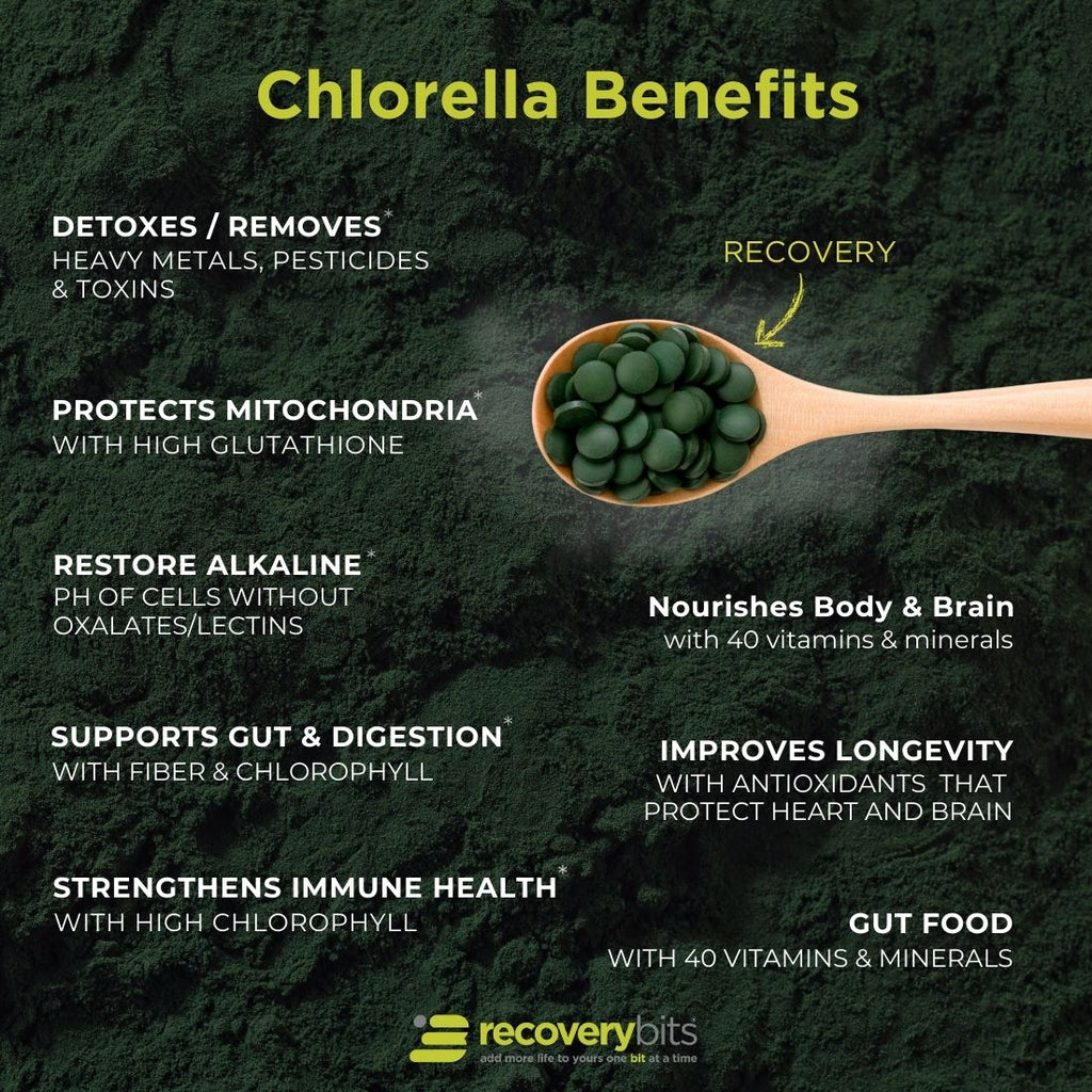 RECOVERYbits® Chlorella | Large Bag