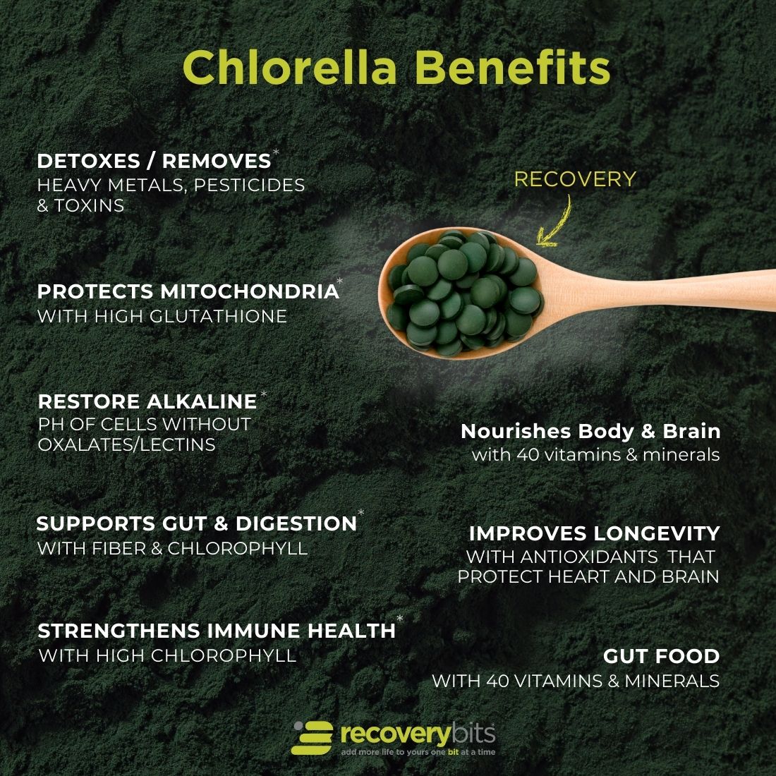 RECOVERYbits® Chlorella | Large Bag
