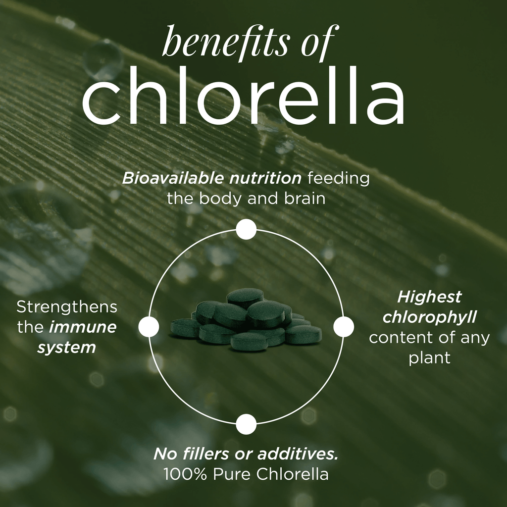 RECOVERYbits® Chlorella | Large Bag